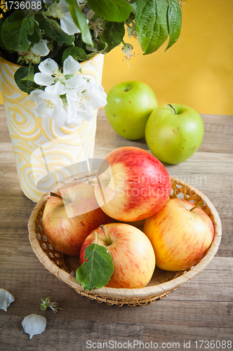 Image of Beautiful ripe apples and branches of a blossoming apple-tree in