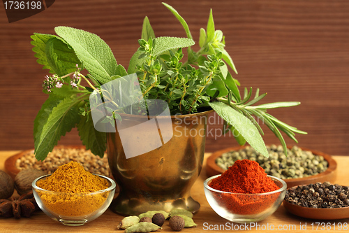 Image of Herbs and spices