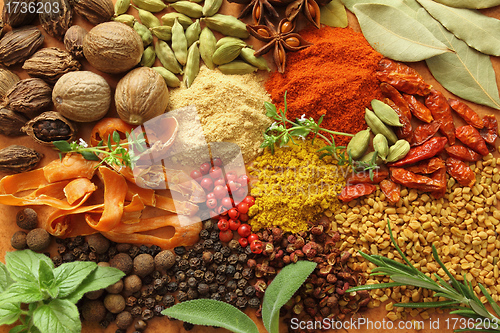 Image of Spices and herbs