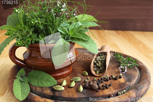 Image of Herbs and spices