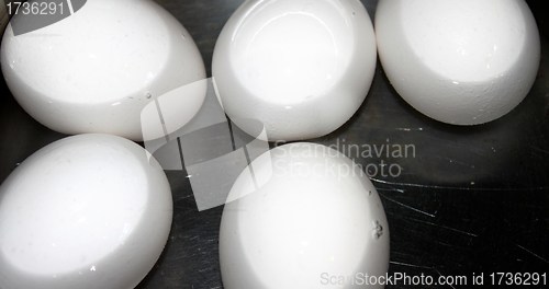 Image of eggs