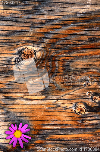 Image of Textured Plywood
