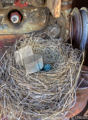 Image of Robins nest in old tractor
