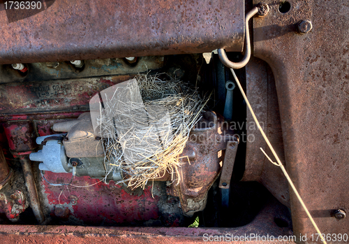 Image of Robins nest in old tractor