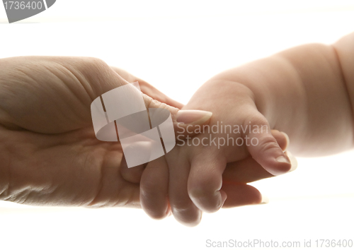 Image of Baby hand and mom hand