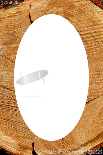 Image of White oval photo frame texture of cut oak backdrop 