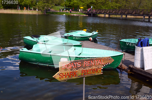 Image of Boat rent near shore of Lake. Active recreation 