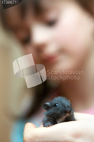 Image of mouse in a hand of the girl