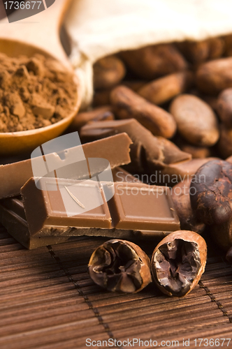 Image of Cocoa (cacao) beans with chocolate