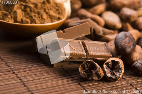 Image of Cocoa (cacao) beans with chocolate