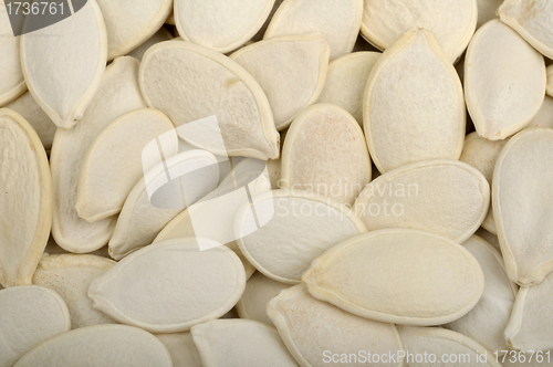 Image of Pumpkin Seeds