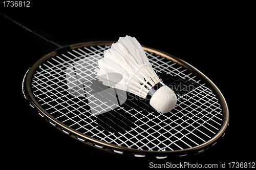 Image of Badminton racket and shuttlecock