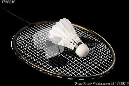 Image of Badminton racket and shuttlecock