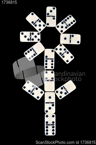 Image of Domino isolated on a black background