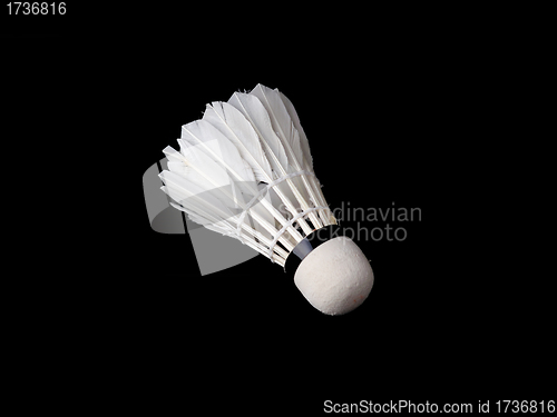 Image of Shuttlecock