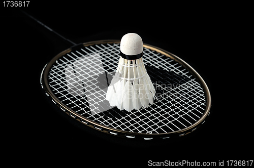 Image of Badminton racket and shuttlecock