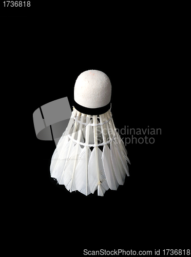 Image of Shuttlecock