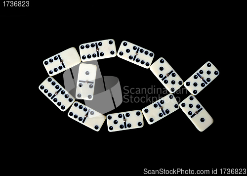 Image of Domino isolated on a black background