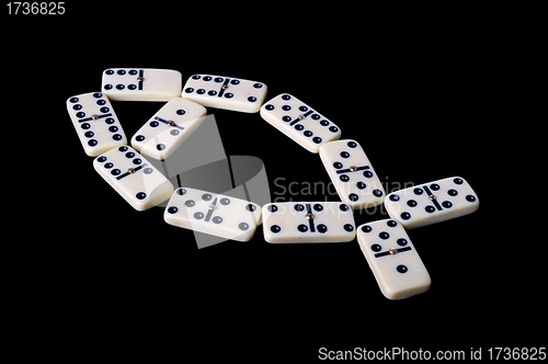 Image of Domino isolated on a black background