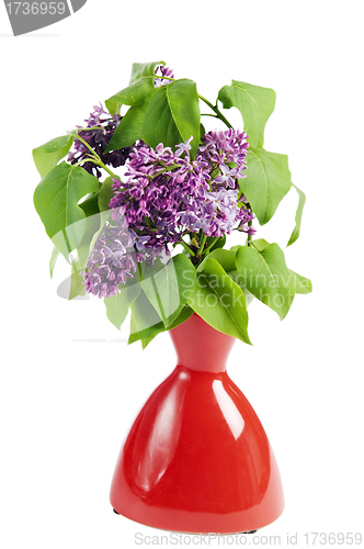 Image of Branch of a blossoming lilac in a vase, it is isolated on white
