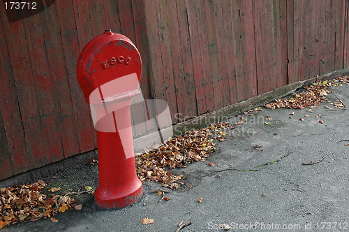 Image of fire hydrant