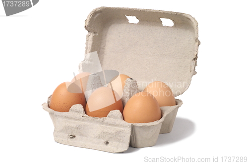 Image of Eggs on White
