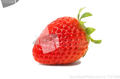Image of Strawberry