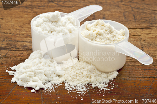 Image of whey protein powder - two scoops