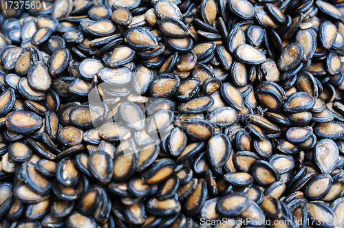 Image of Watermelon seeds