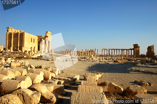 Image of Relics of Palmyra in Syria