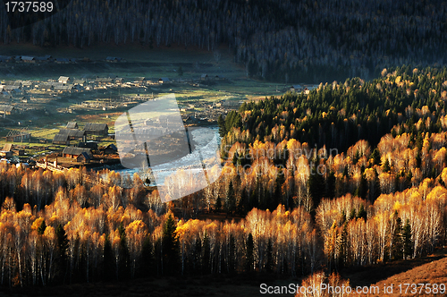 Image of Village with golden trees in autumn