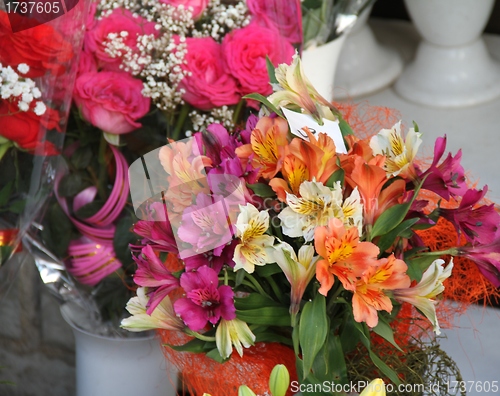 Image of Flowers for sale