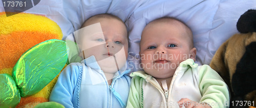 Image of Twins panorama