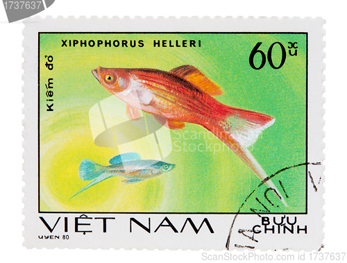 Image of postage stamp