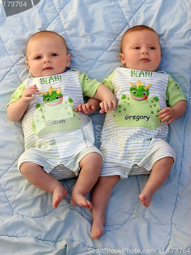Image of Twin baby boys