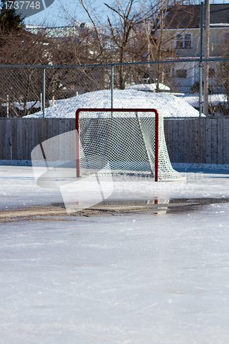 Image of Ice hockey net on melting ice