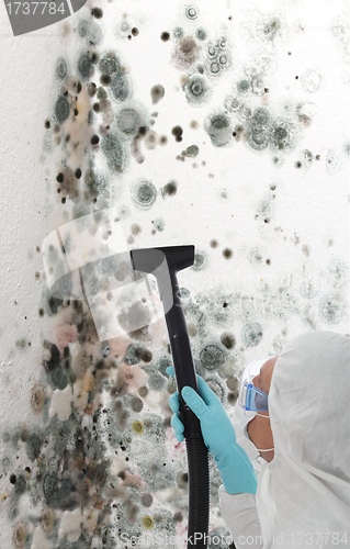 Image of Professional cleaning mould off a wall