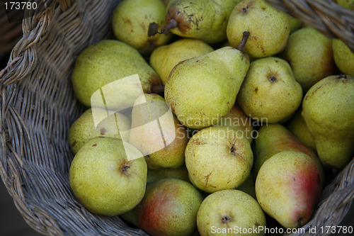 Image of Pears