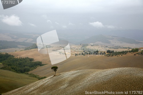 Image of Tuscan landscape