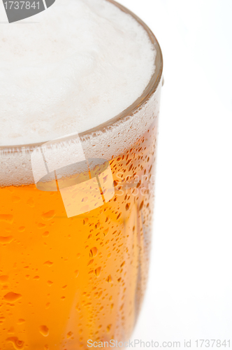 Image of Glass of Beer