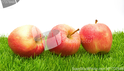 Image of Red Apples on Grass			