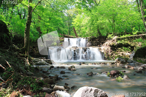 Image of Water on the rocks into the forest