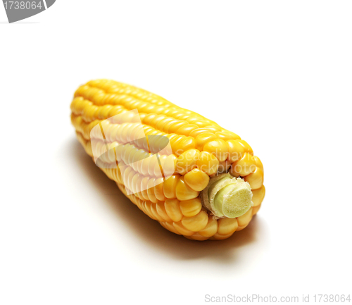 Image of corn isolated
