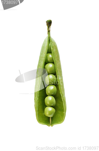 Image of ripe green peas in the shell on a white background