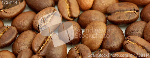 Image of Coffee roasted beans background