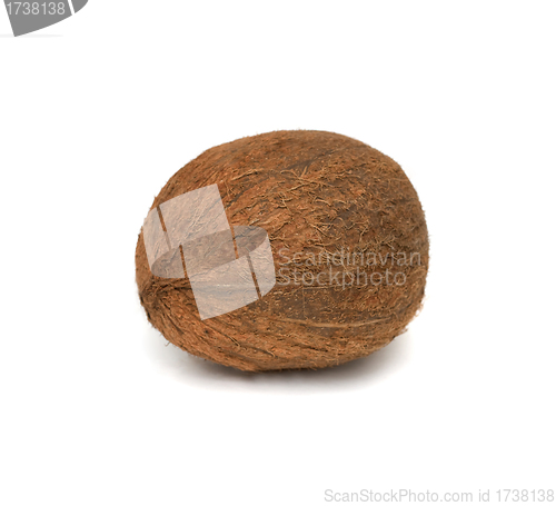 Image of coconut isolated on white