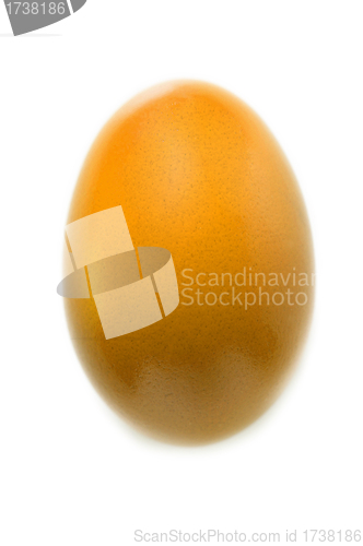 Image of egg on white background