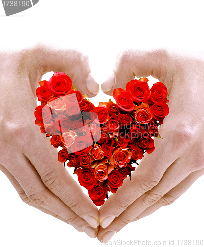 Image of Symbol of heart made with hands and roses