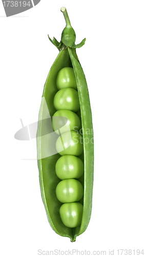 Image of peas isolated on white