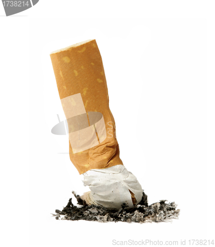 Image of Single cigarette butt with ash isolated on